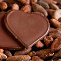 Raw Chocolate Cacao Nibs Theobromine